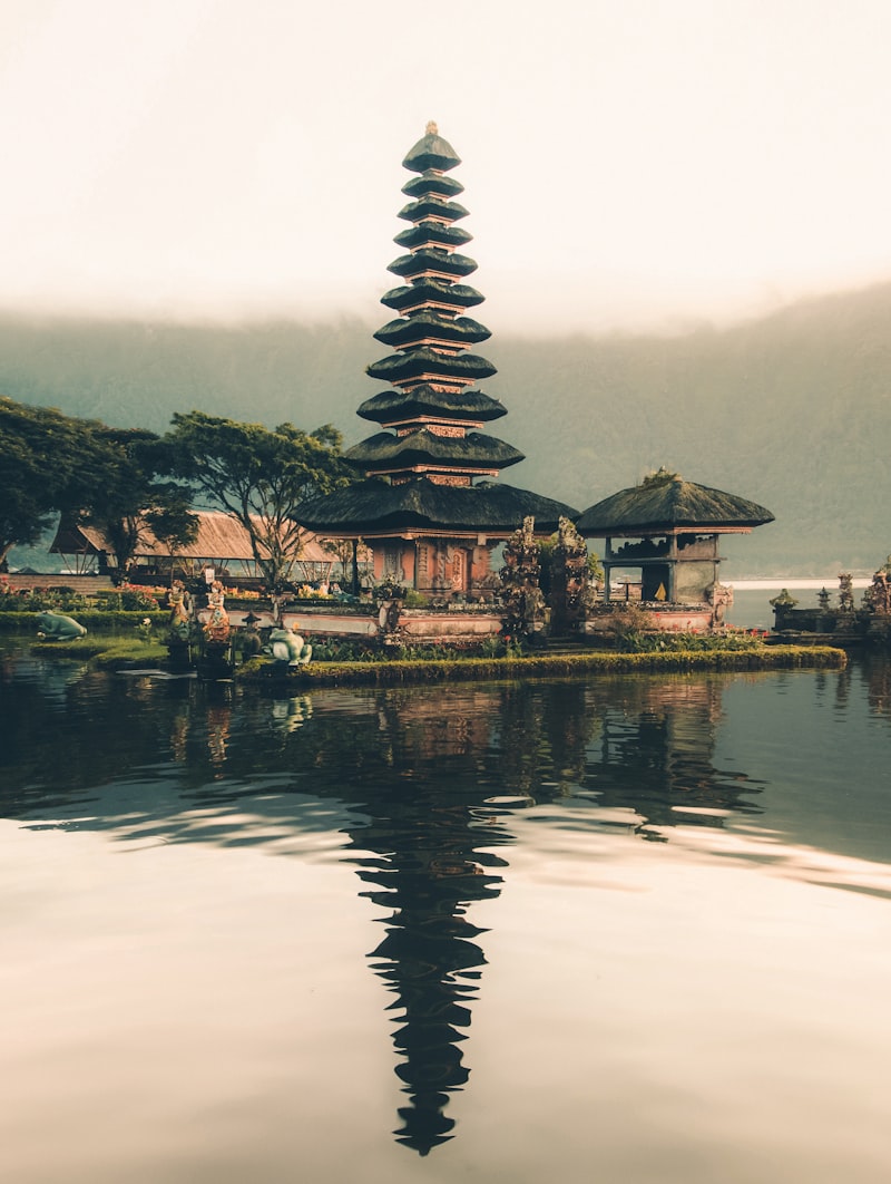 Bali jungle